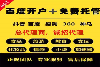 百度广告推广在旅游行业的成功案例